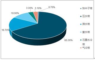核電工程建設(shè)市場分析報告 2019 2025年中國核電工程建設(shè)行業(yè)深度研究與市場全景評估報告 